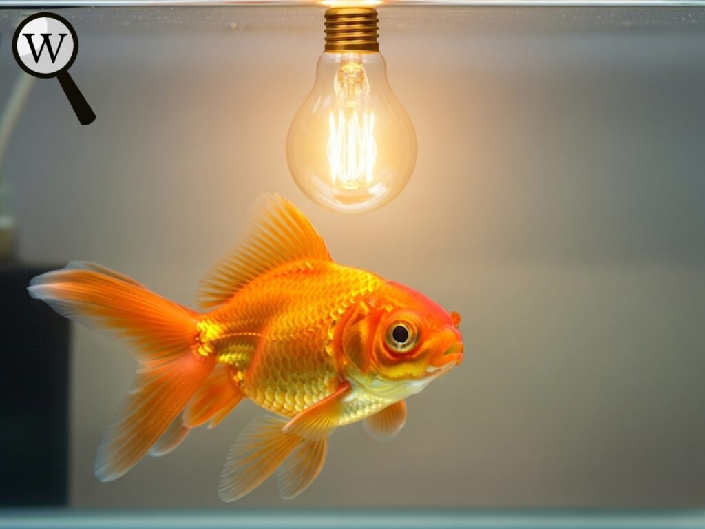 A goldfish swimming proudly with a glowing lightbulb above its head, symbolizing intelligence and surprising abilities.