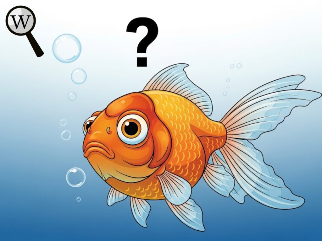 Illustration of a goldfish with a question mark above its head